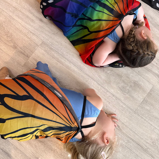 Beginner Ballet, Tap & Jazz (Ages 2-4)